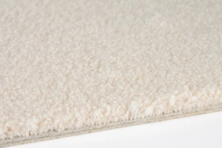 Vorwerk Superior 1065/Viola Vorwerk 6c72 фото 3 | FLOORDEALER